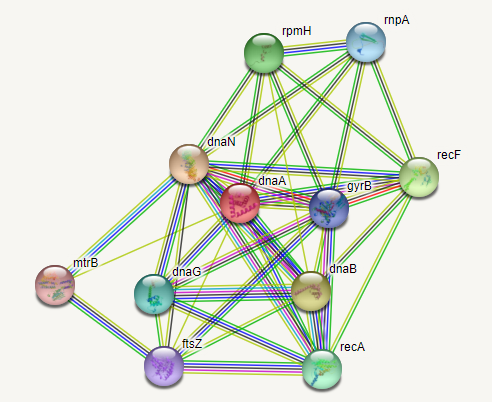 Systems Genomics Modeling of Multi-drug Resistance in Mycobacterium tuberculosis